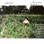 planet you forgot me - Single