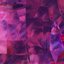 bloom [Explicit]