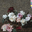 Power, Corruption, & Lies