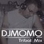 Tribal Mix