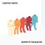 Bumpin to the Bass Kid - Single