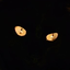 Avatar for killetheth