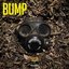 Bump