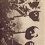 Katatonia
