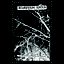 .​​.​​​.​​In The Desolate Forest of Eternity