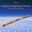 Fantastic Didgeridoo Dreams