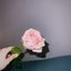 all my love
