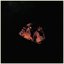 #Demon (feat. Bryant Barnes)