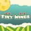 Tiny Wings Theme