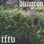 Dungeon