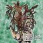 Rotting Tree