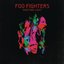 Wasting Light (Deluxe Version)