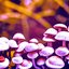 Evil Mushrooms