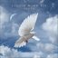 Shared Values Radio Edit