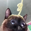 margot_ga 的头像