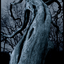 Avatar de cyathus1