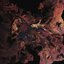 Nascentes Morimur
