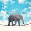 The Balancing Act