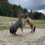 Avatar für MadMarty001