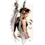 Avatar for gambo22