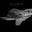 Rockpool Sampler Vol. 1