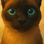 Avatar di mike_willian