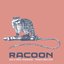 Racoon - Live at HMH, Amsterdam - Theatre show 2016