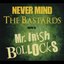 Never mind the Bastards - Here is Mr. Irish Bollocks