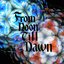 From Noon Till Dawn - Single