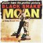 Black Snake Moan