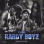 THE HARDY BOYZ