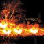 Afire