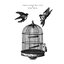 Piri Reis / They Sleep We Live Split