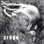 SROGO