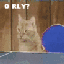 Avatar for FailedFailboat