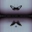 Reflections [Explicit]