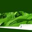 Gras