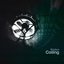 Coiling