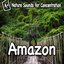 Nature Sounds for Concentration - Amazon