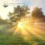 Sunbeams