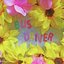 Bus Driver - Single