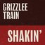 Shakin' - Single