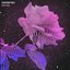 Maybe - Single