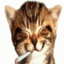 Avatar for mattiasleiva
