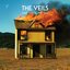 The Veils - Time Stays, We Go album artwork