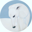 Avatar de JulioBertacini