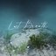 Last Breath