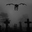 Death Angel