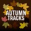 Autumn Tracks