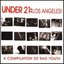 Under 21: Los Angeles! - A Compilation Of Rad Youth